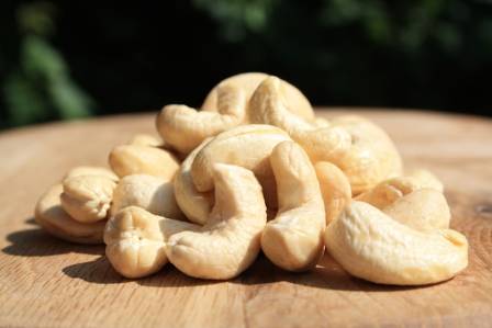 A Comprehensive Guide to the Unique World of Cashews
