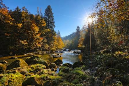 America's 5 Greatest National Forests