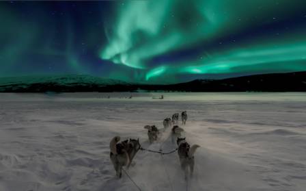 Where to Witness the Northern Lights in Their Full Glory