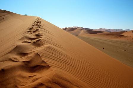 The Rise of Sandboarding: From Niche Sport to Mainstream Attraction