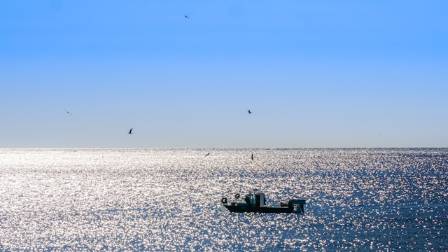 Ever dreamed of setting off on a solo sailing voyage?