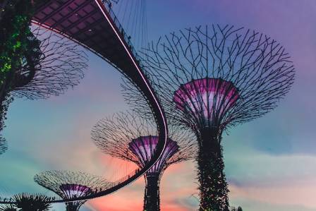 7 Fascinating Design Secrets of Singapore’s Garden by the Bay